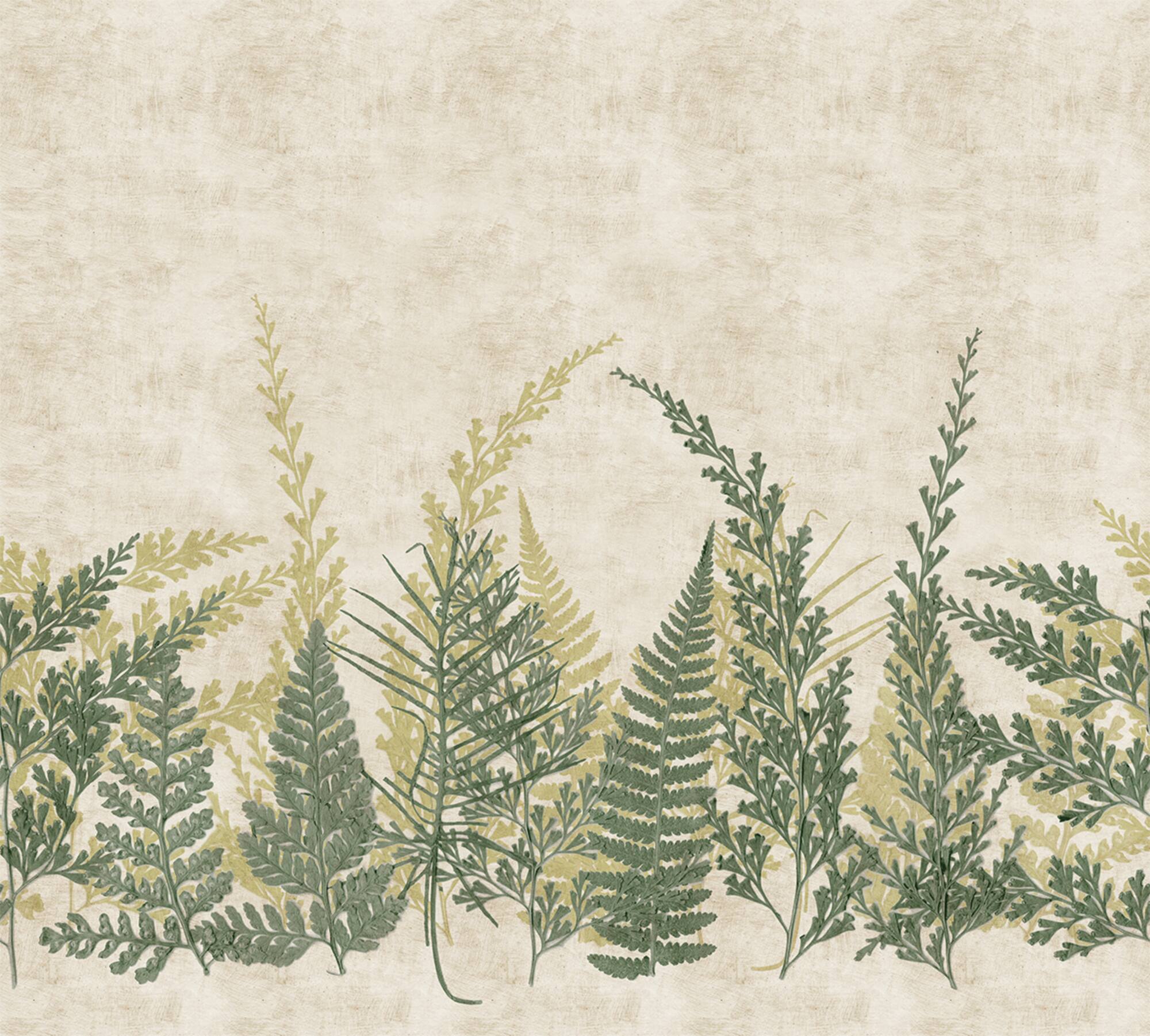 Designs Direct Pressed Ferns Watercress Green Wall Mural